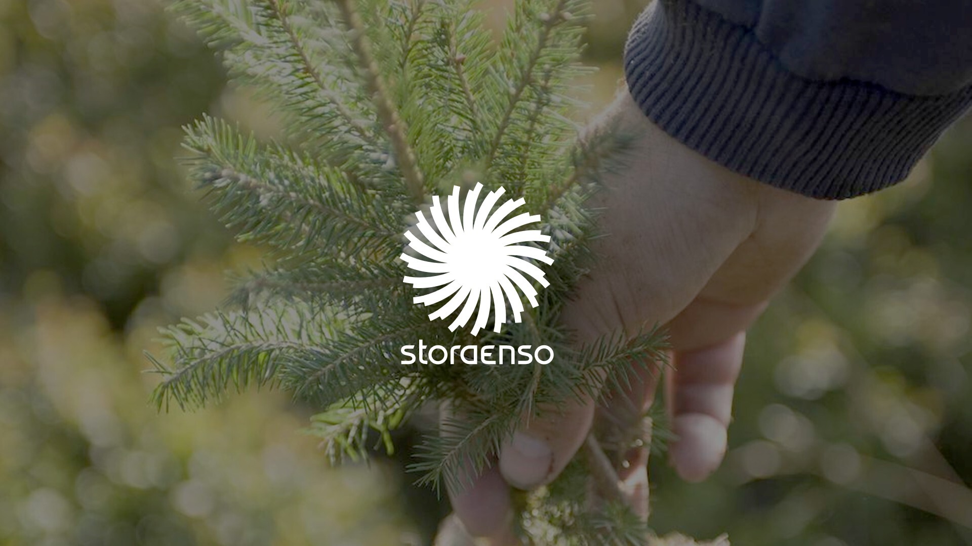 stora enso logo picture
